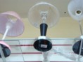 /album/ar-decor/dsc02930-jpg/